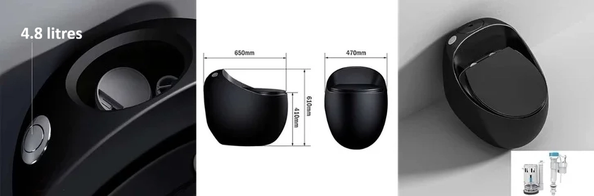 WC monobloc noir sans bride design moderne